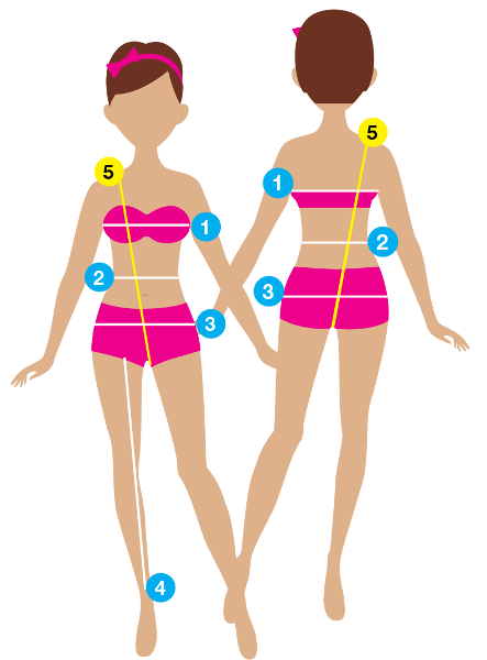 measuring model