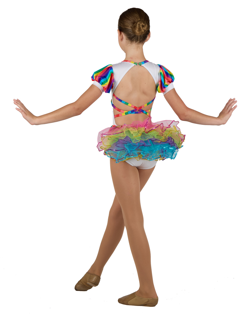 83533 Rainbow Stripe